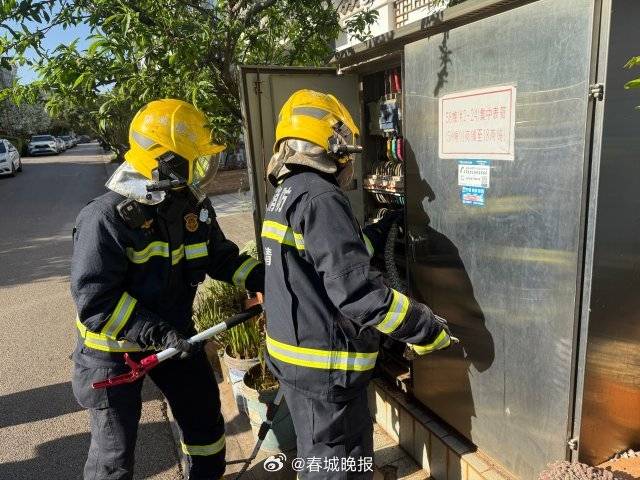 一條菜花蛇鉆進(jìn)電表箱:電表計量箱